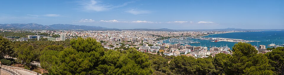 Mallorca: Guided Sightseeing Tour